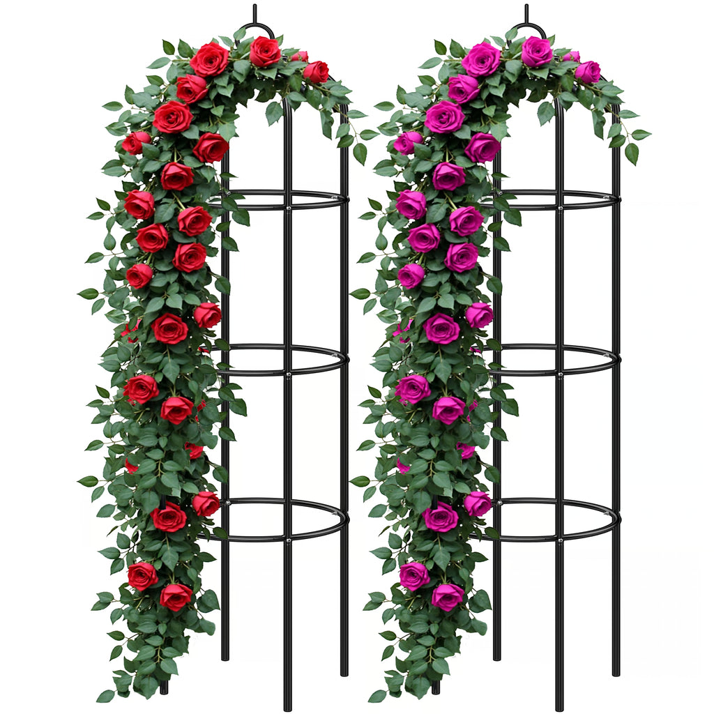 Lot 2 Colonnes à Rosiers 2m - Support Grimpantes Métal