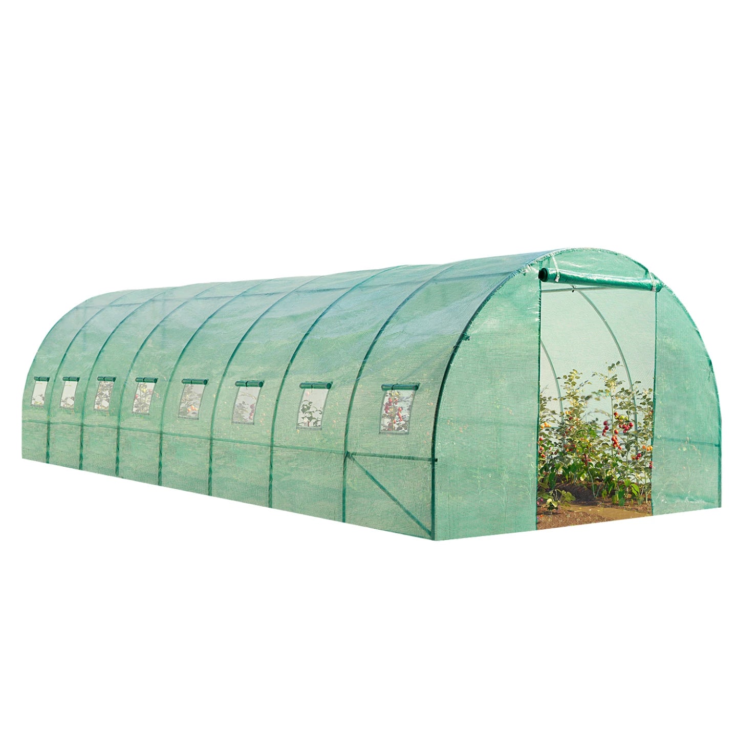 Serre de Jardin Tunnel 24 m² – Abri de Culture 3 x 8 m