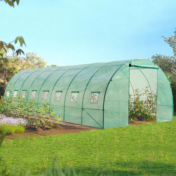 Serre de Jardin Tunnel 24 m² – Abri de Culture 3 x 8 m